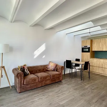 Loft En El Centro Lejlighed